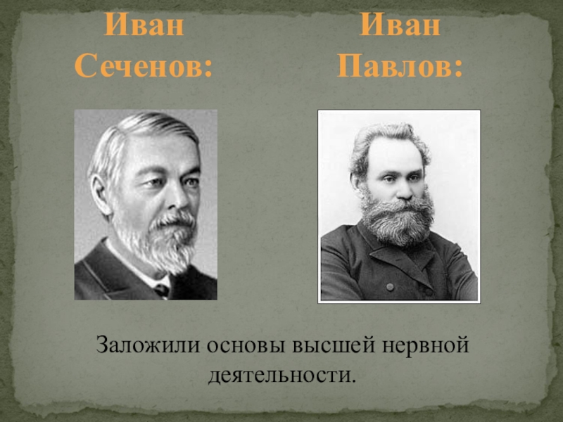 Основы высшей. Сеченов Павлов Мечников. Сеченов и Павлов вклад. Иван Павлов Иван Мечников. Иван Сеченов и Иван Павлов вклад в биологию.