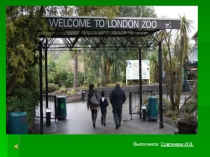 Презентация по английскому языку на тему Зоопарки Лондона
