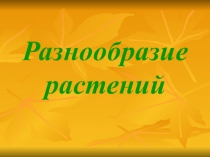 Презентация по окружающему миру для 2 класса Разнообразие растений