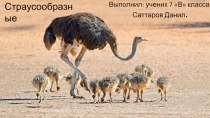 Биология 7 класс (Страусы Образные)