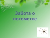 Презентация Забота о потомстве