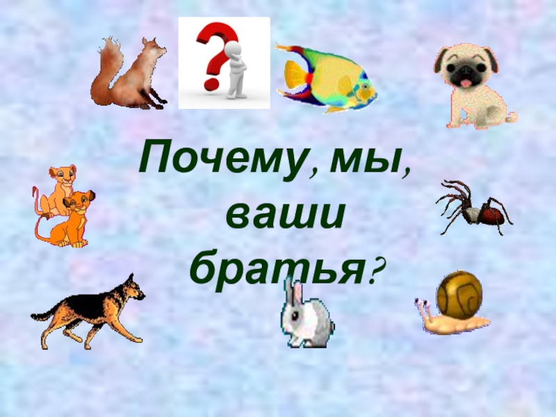 О братьях наших меньших 1 класс презентация литературное чтение 1 урок школа россии