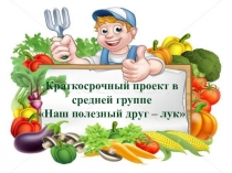 Презентация проекта в средней группе по познавательному развитию Наш друг - лук