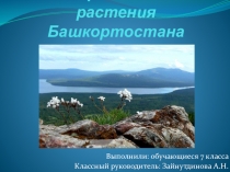 Презентация лекарственные растения Башкортостана