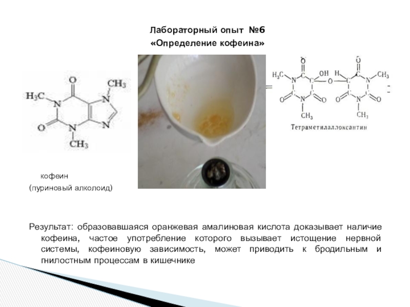 В каком энергетике больше всего кофеина. Пуриновые алкалоиды кофеин. Кофеин с пикриновой кислотой. Кофеин мурексидная проба реакция. Мурексидная реакция с кофеином.