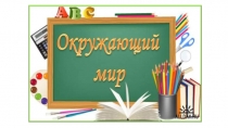 Презентация по Окружающему миру 2 класс Город,деревня,дом.