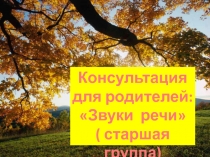 Презентация для родителей по подготовке к обучению грамоте детей с ОВЗ (старшая группа) на тему