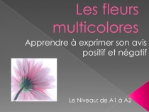 Презентация игры для урока французского языка Разноцветные цветы