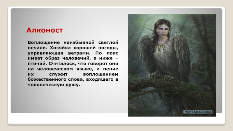 Не имеет образа. Гамаюн Сирин и алконост отличия. Алконост птица значение. Алконост Локи. Доклад о алконост.