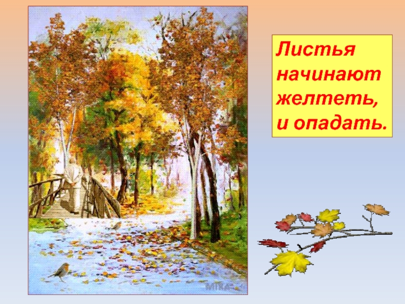 Времена года осень презентация. В какой период Золотая осень.