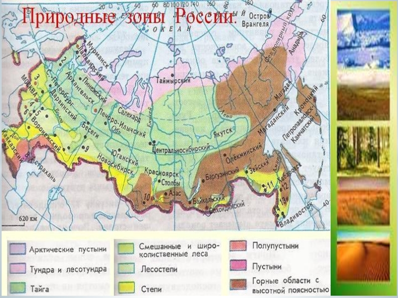 Название зон на карте. Контурная карта природные зоны России Тайга. Природные зоны России карта 4кл. Карта природных зон России 4 класс окружающий мир. Природные зоны России на карте с названиями.