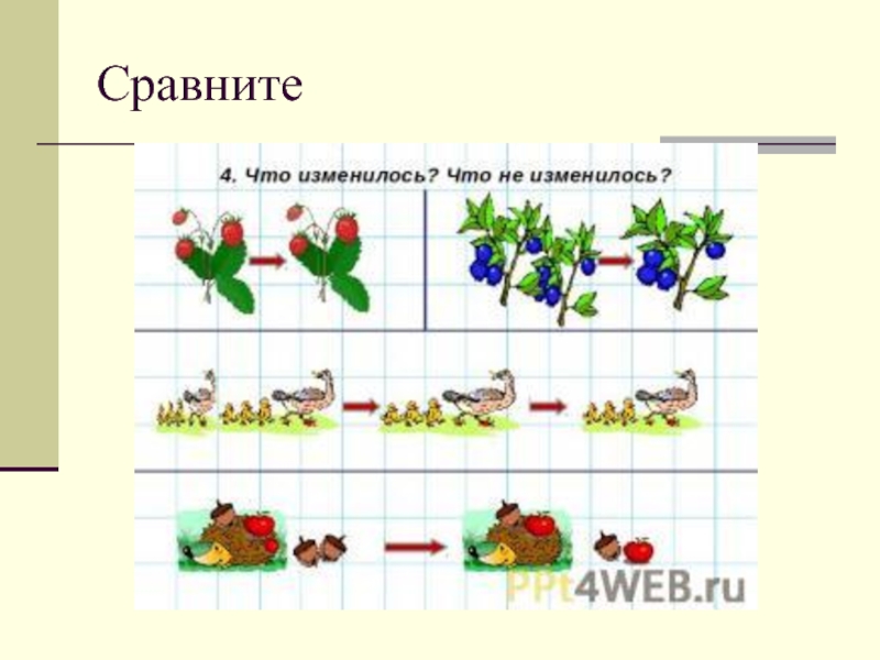 Презентация на тему сравнение