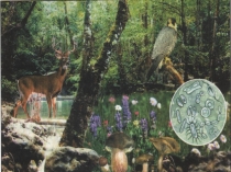 Презентация по окружающему миру - В царстве грибов