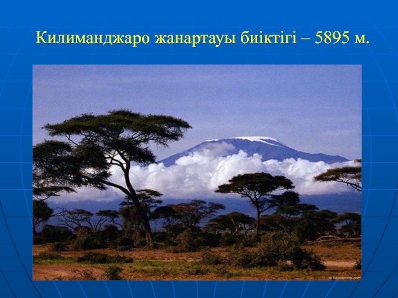 Килиманджаро жанартауы биіктігі – 5895 м.