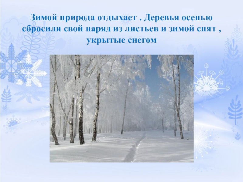 Охрана природы зимой презентация. Презентация зима. Деревья зимой для презентации. Деревья зимой презентация для дошкольников. Времена года зима презентация.