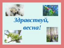 Птицы весело поют.