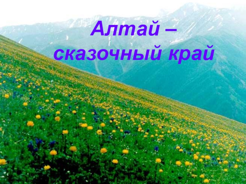 Презентация к классному часу Мой край для меня - это Родина. А Родина - это Алтай!