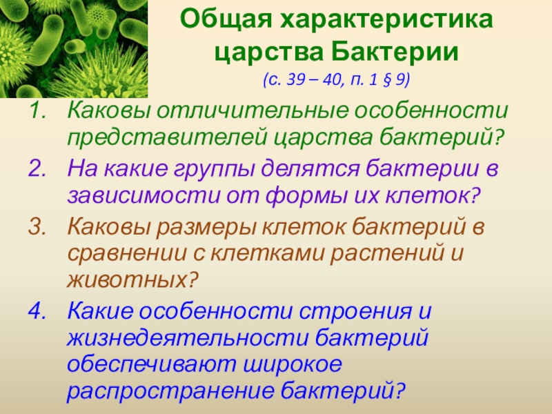 Характеристика царства бактерий 5 класс биология презентация