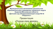 Презентация Посади свое дерево