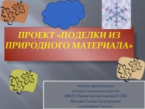Презентация Проект Поделки из природного материала (1 класс)
