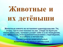 Презентация по миру природы на тему Домашние животные и их детёныши