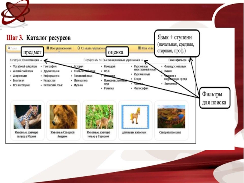 Лучшие сайты тестов