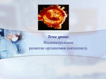 Презентация по биологии на тему Индивидуальное развитие организмов
