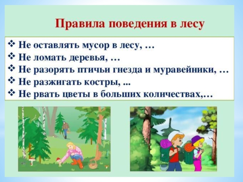 Безопасность на природе проект