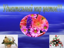 Презентация к мастер-классу Удивительный мир цветов
