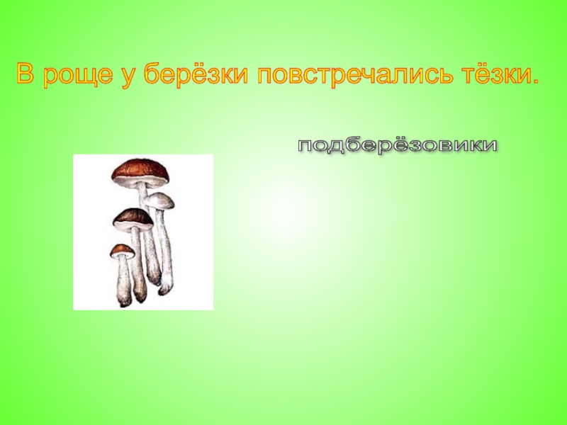 Повстречались тезки. Роще Березки повстречались тезки. В роще Березки повстречались тезки загадка. Березки повстречались тезки загадка. Роще Березки повстречались тезки подберезовик загадка.