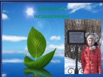 Проектная работа на тему: Наш парк