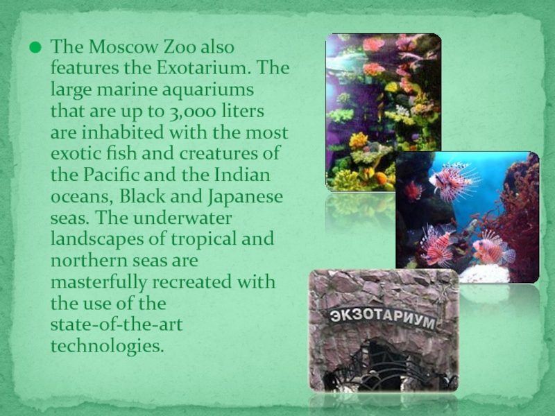 The Moscow Zoo also features the Exotarium. The large marine aquariums that are up to 3,000 liters