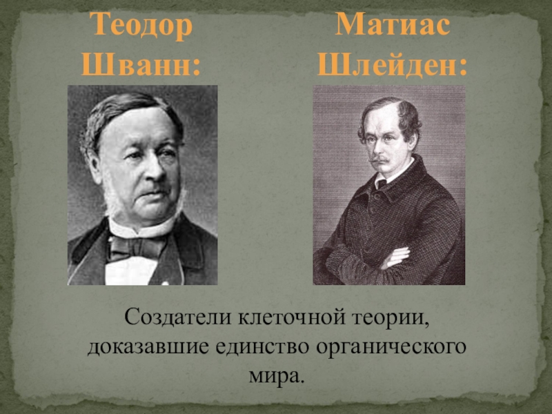 Кто создал клеточную теорию. Шлейден и Шванн клеточная. Шлейден и Шванн биология. Теодор Шванн клеточная теория. Шлейден и Шванн создатели клеточной теории.