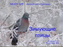 Презентация по экологии Зимующие птицы