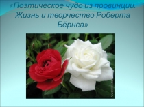 Презентация к внеклассному мероприятию Поэтическое чудо из провинции (по творчеству Р.Бернса)