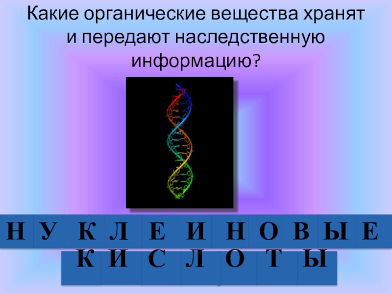 Органические вещества обеспечивают. Хранение и передачу наследственной информации обеспечивают. Хранят и передают наследственную информацию. Какие вещества хранят и передают наследственную информацию. Наследственное вещество клетки.