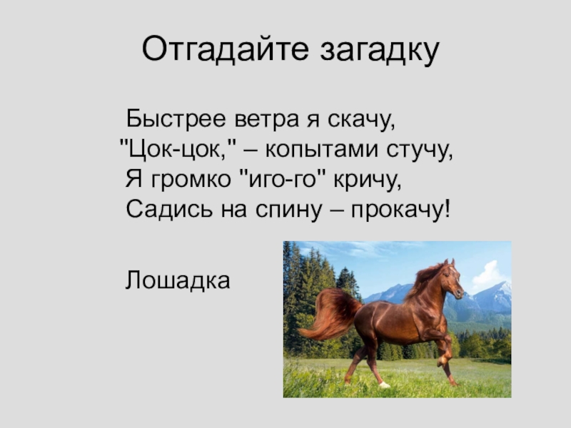 Скачут кони стихотворение. Загадка про лошадь для детей 6-7. Загадки про лошадь для детей 4-5. Загадка про лошадь. Загадка про лошадь для детей.
