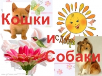 Презентация по окружающему миру