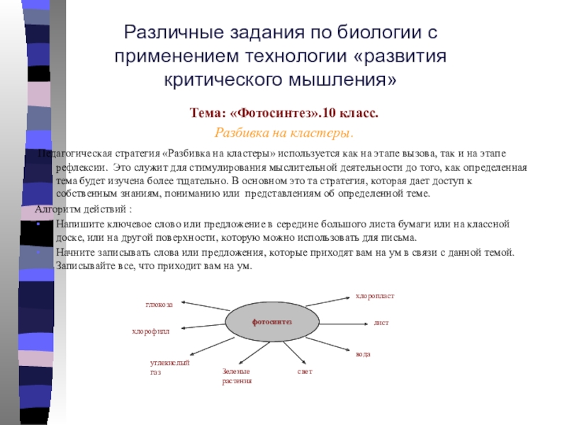 Развитие критического мышления на уроках биологии