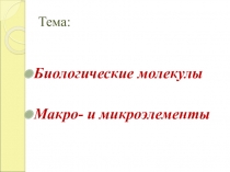 Презентация Биологические молекулы 8 класс