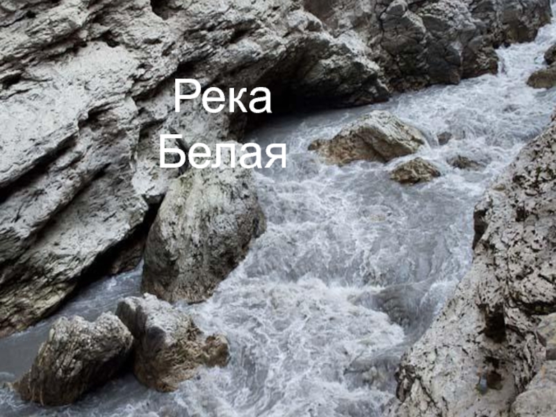 Белая река песня. Как насчет белая река.