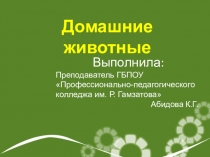 Презентация по МДК 03.02.Теория и методика развития речи у детей