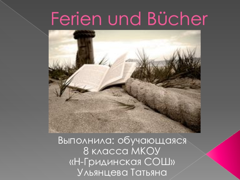 Презентация Презентация по немецкому языку в 9 классе по теме Ferien und Bucher