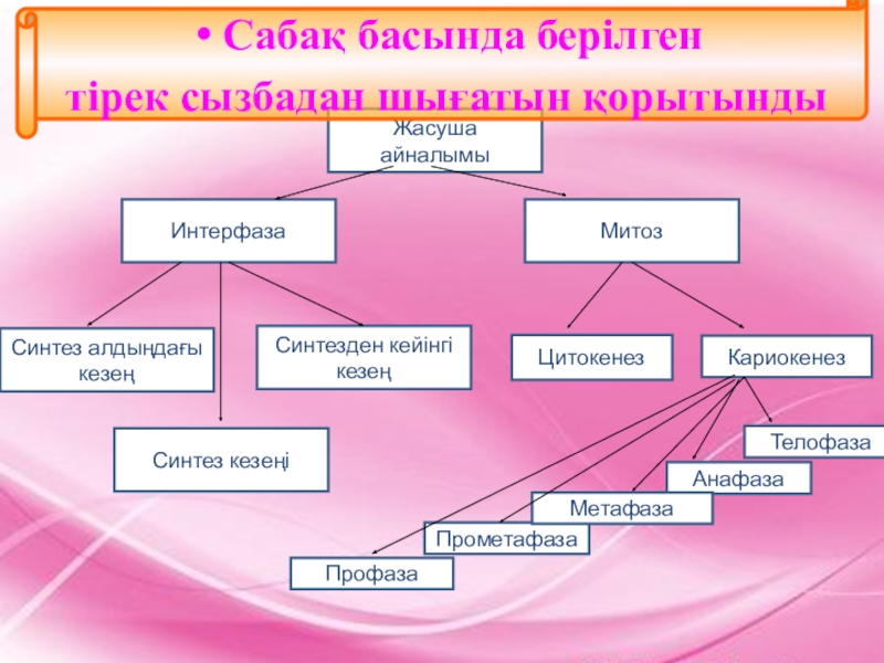 Презентация митоз 10 класс биология