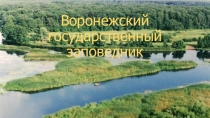 Презентация Воронежский государственный заповедник.