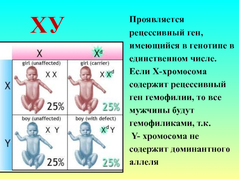 Рецессивный организм. Рецессивный ген проявляется. Доминантный и рецессивный ген. Рецессивный ген и доминантный ген. Генетика рецессивный ген.