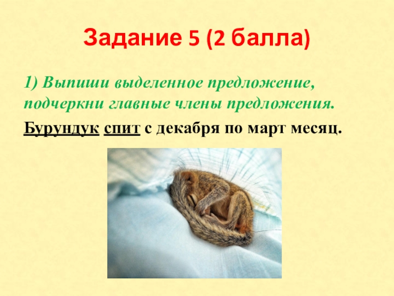 Задание 5 (2 балла)1) Выпиши выделенное предложение, подчеркни главные члены предложения.Бурундук спит с декабря по март месяц.