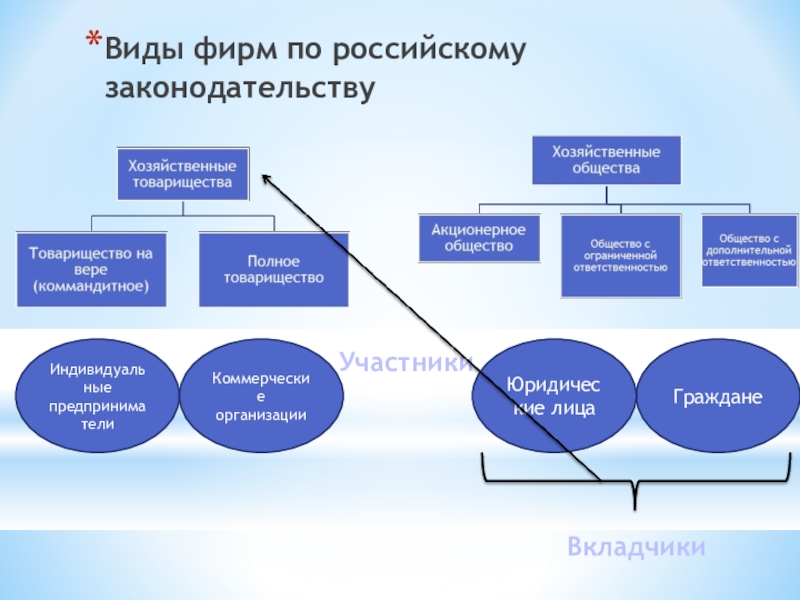 Типы фирм. Виды фирм. Виды фирм в экономике. Виды фирм по российскому законодательству. Типы фирм в экономике.