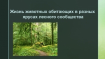 Презентация Жизнь животных обитающих в разных ярусах лесного сообщества