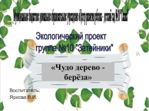 Презентация проекта по познавательному развитию Чудо дерево береза
